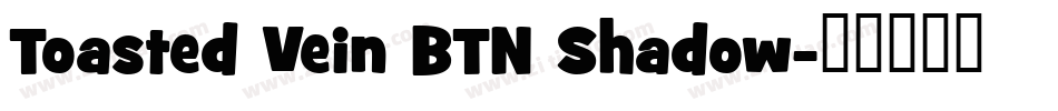 Toasted Vein BTN Shadow字体转换